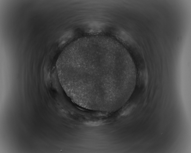 X0000084541250200703231706