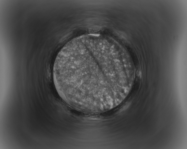 X0000084541252200703231706