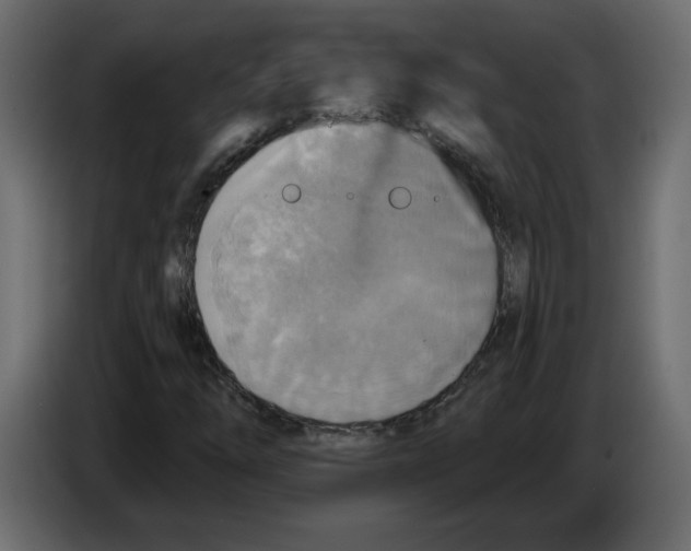 X0000084541254200703231706