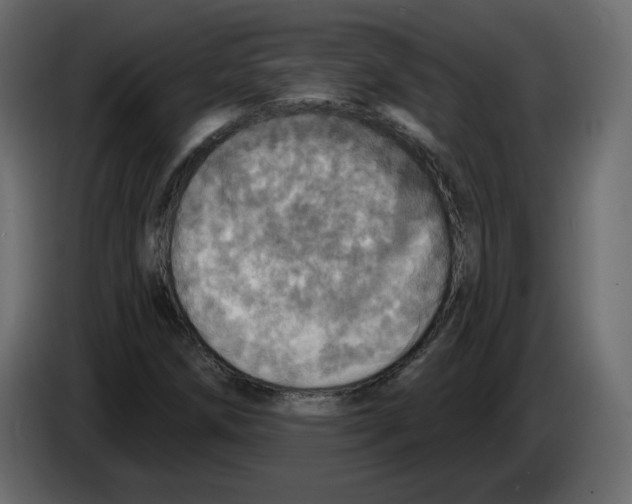 X0000084541258200703231706