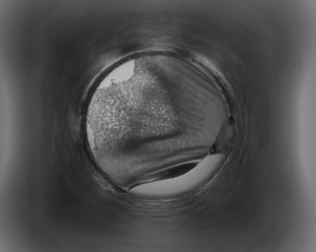 X0000084541260200703231706