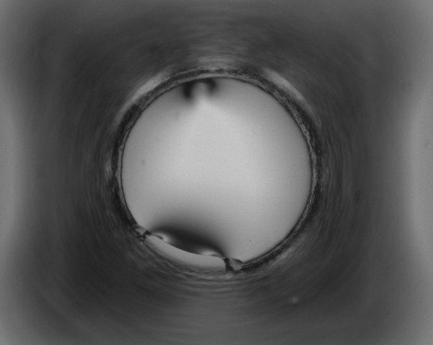 X0000084541261200703231706