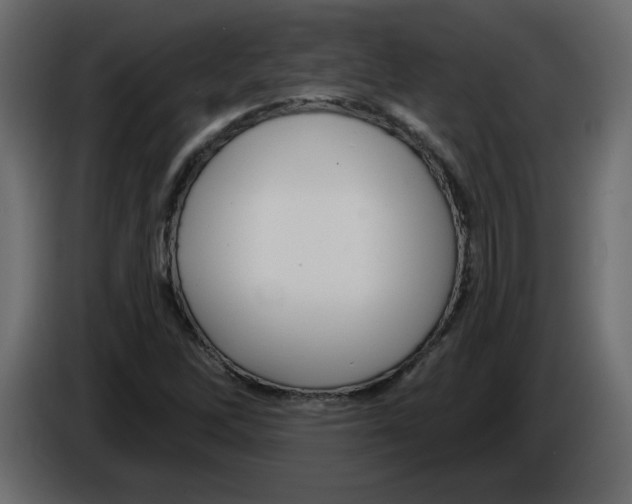 X0000084541262200703231706