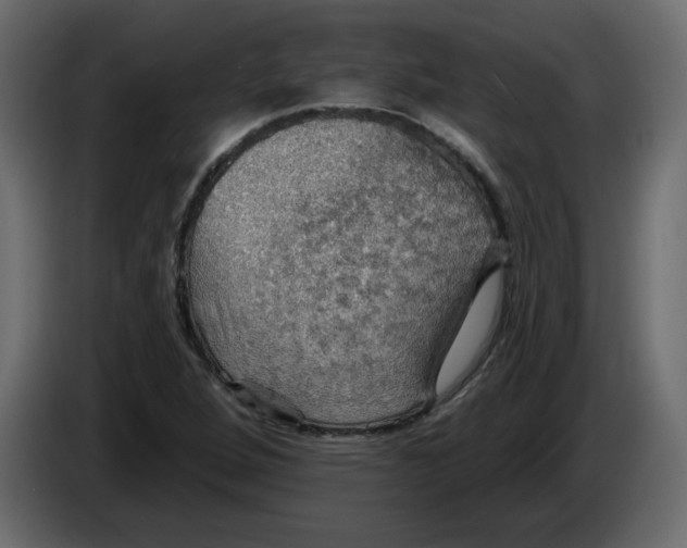 X0000084541264200703231706