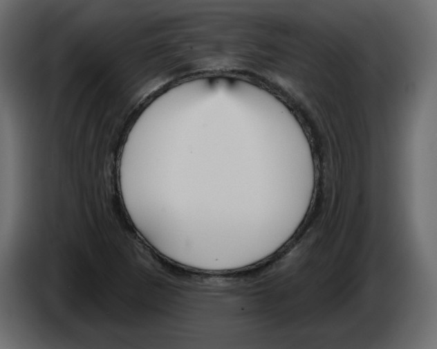 X0000084541265200703231706