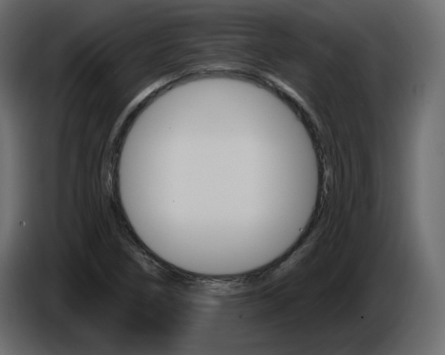 X0000084541266200703231706