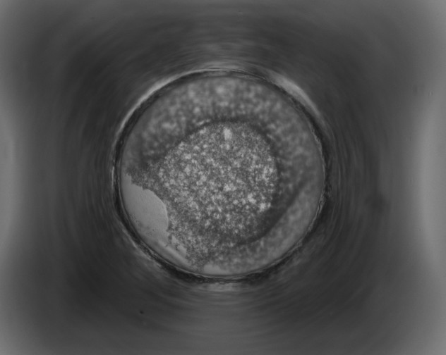 X0000084541268200703231706