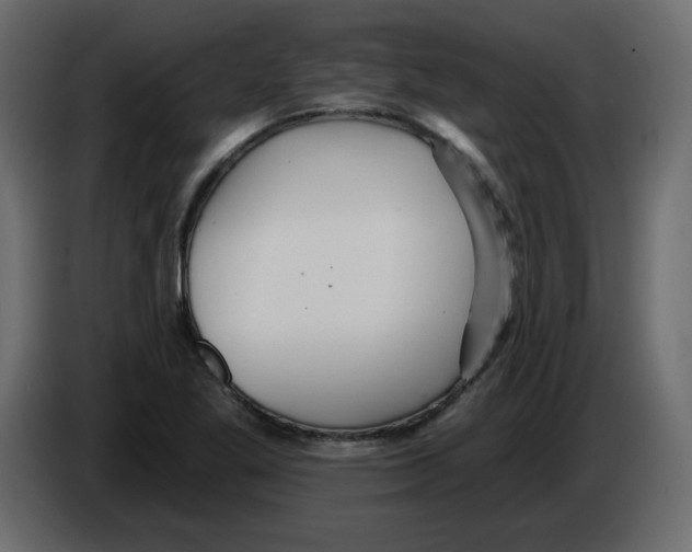 X0000084541269200703231706