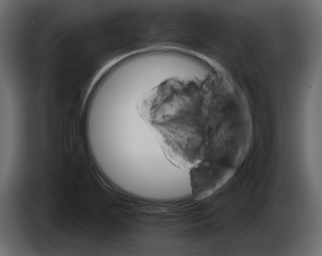 X0000084541271200703231706