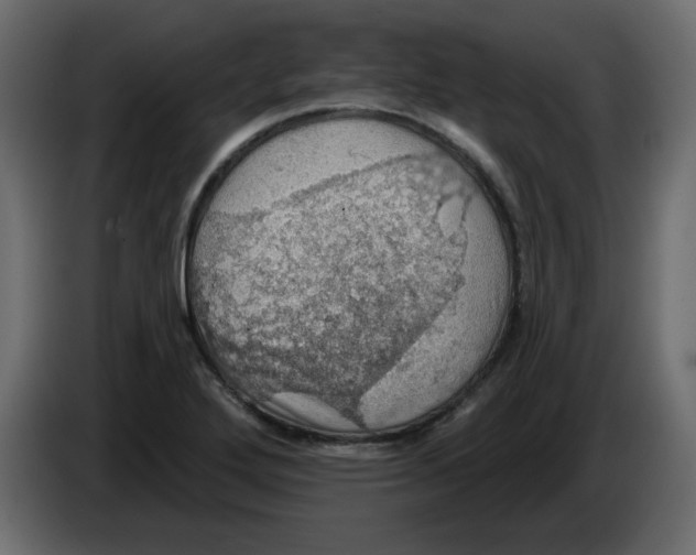 X0000084541272200703231706