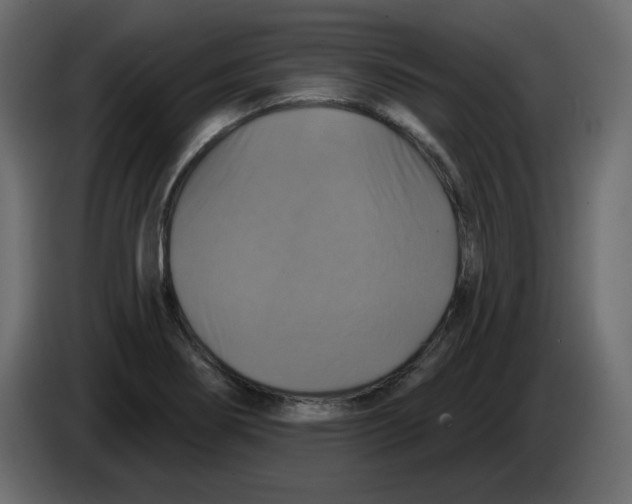 X0000084541274200703231706