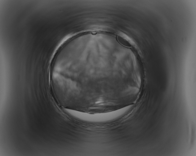 X0000084541275200703231706