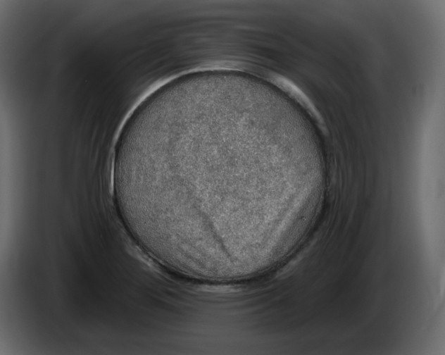 X0000084541276200703231706