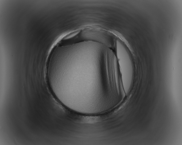 X0000084541277200703231706