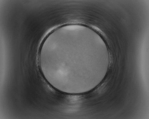 X0000084541278200703231706