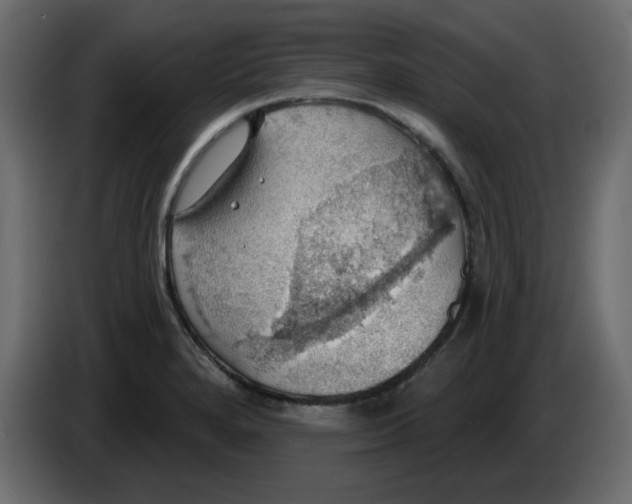 X0000084541280200703231706