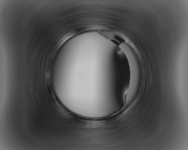 X0000084541281200703231706