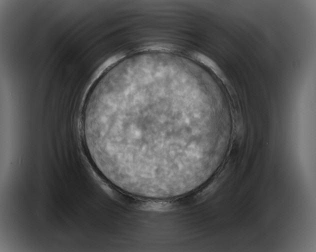 X0000084541282200703231706