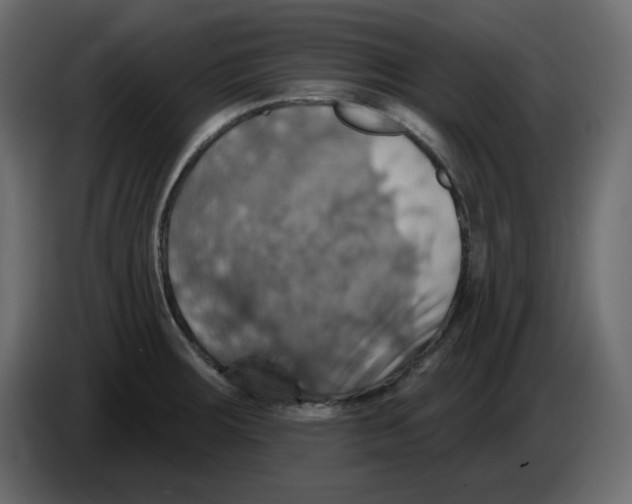 X0000084541283200703231706