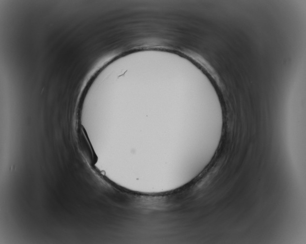 X0000084541285200703231706