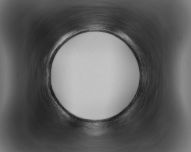 X0000084541286200703231706