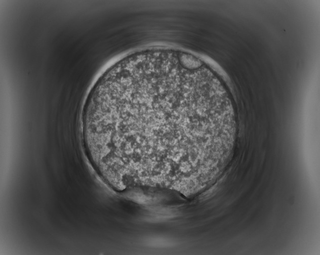 X0000084541287200703231706