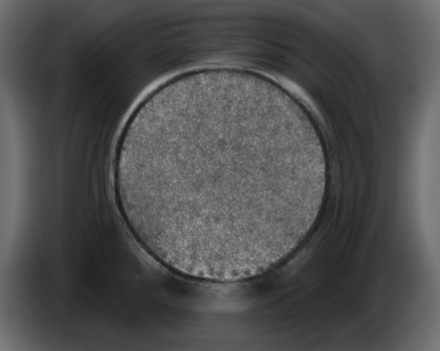 X0000084541288200703231706