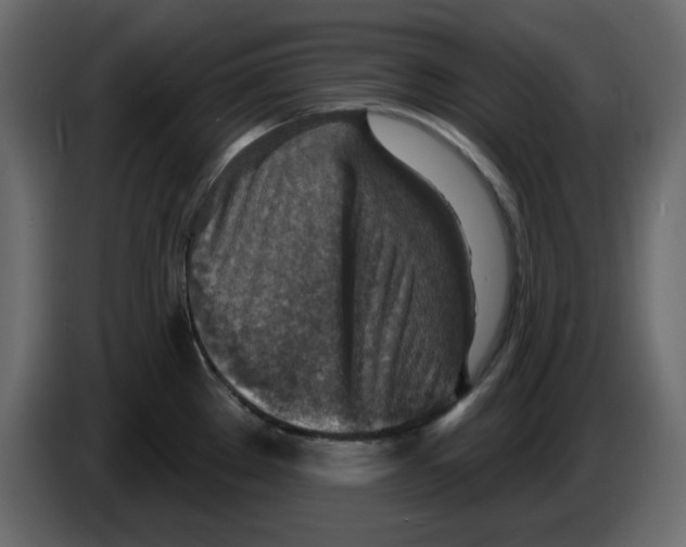 X0000084541289200703231706