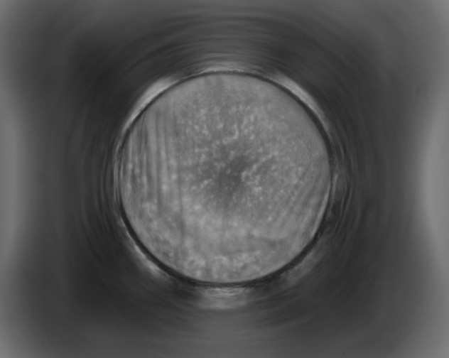 X0000084541290200703231706