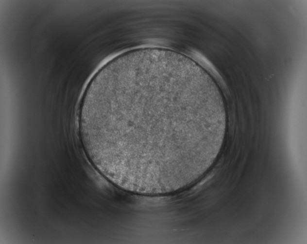 X0000084541292200703231706