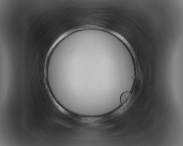 X0000084541294200703231706