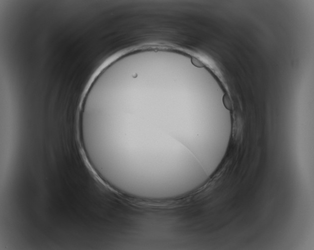 X0000084541295200703231706