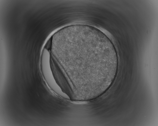 X0000084541296200703231706