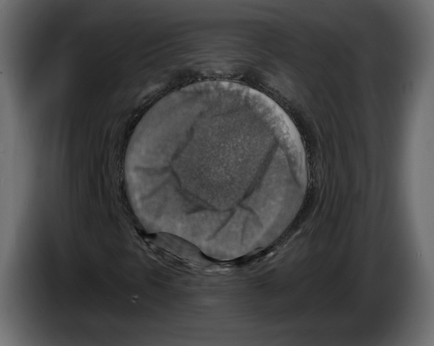 X0000084541297200703231705