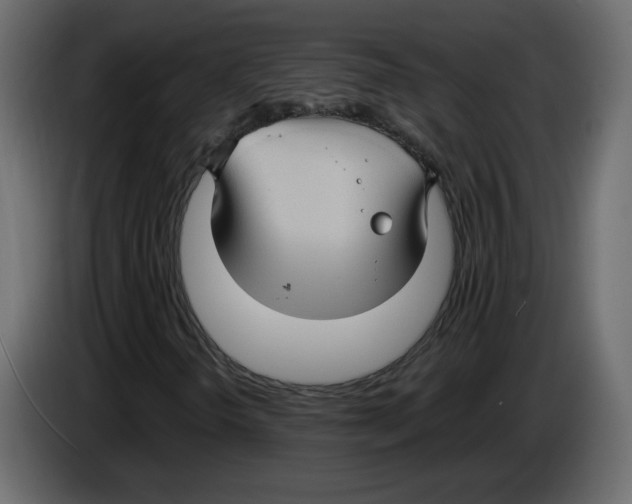 X0000084541298200703231705