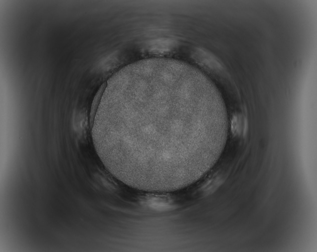 X0000084541299200703231705