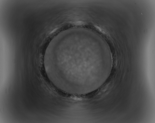 X0000084541301200703231705