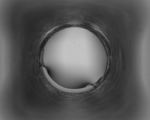 X0000084541304200703231705