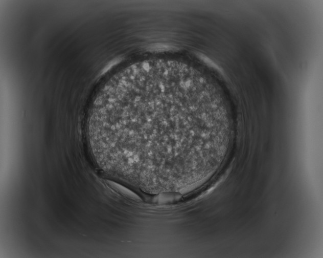 X0000084541305200703231705