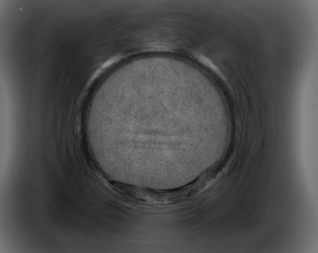 X0000084541307200703231705