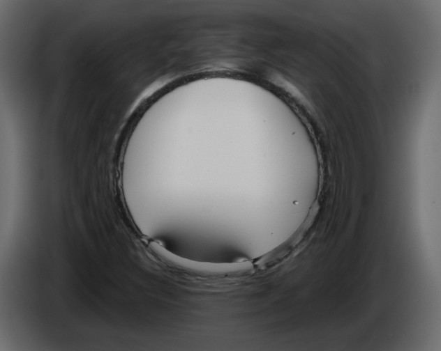 X0000084541308200703231705