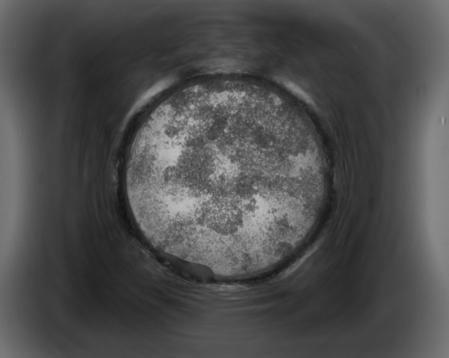 X0000084541309200703231705