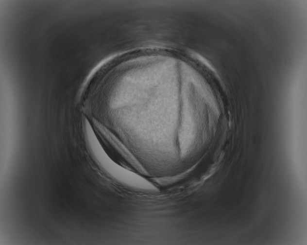 X0000084541310200703231705