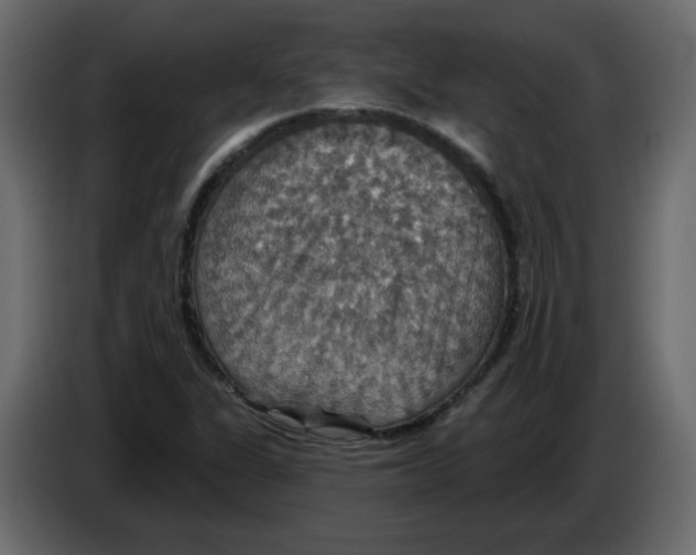 X0000084541311200703231705