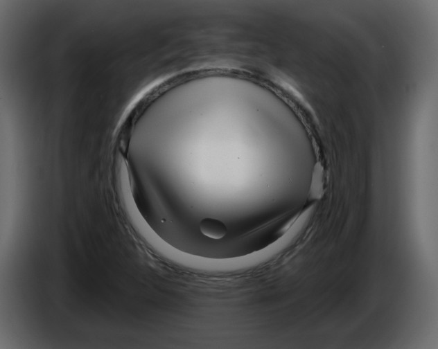 X0000084541312200703231705