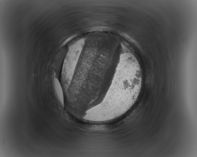 X0000084541313200703231705