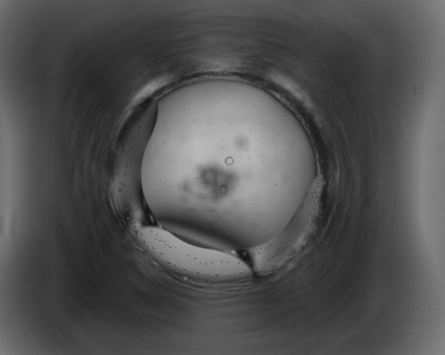 X0000084541314200703231705