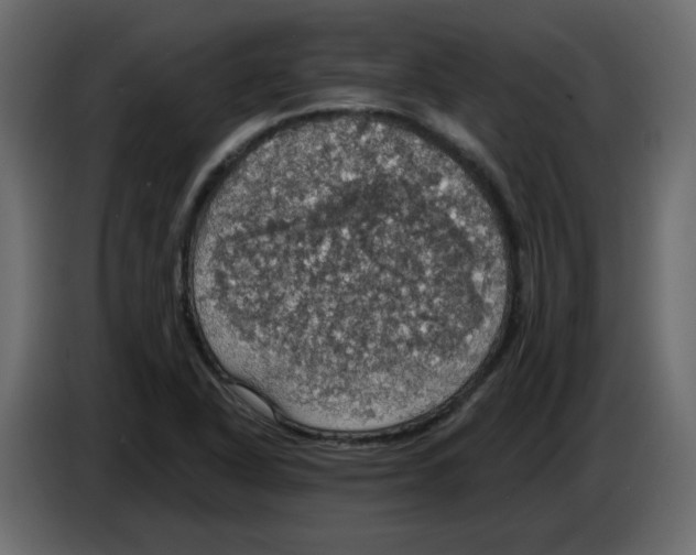 X0000084541318200703231705