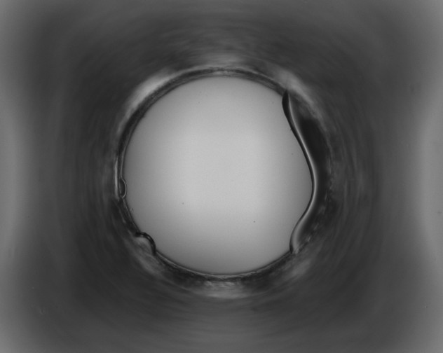 X0000084541320200703231705