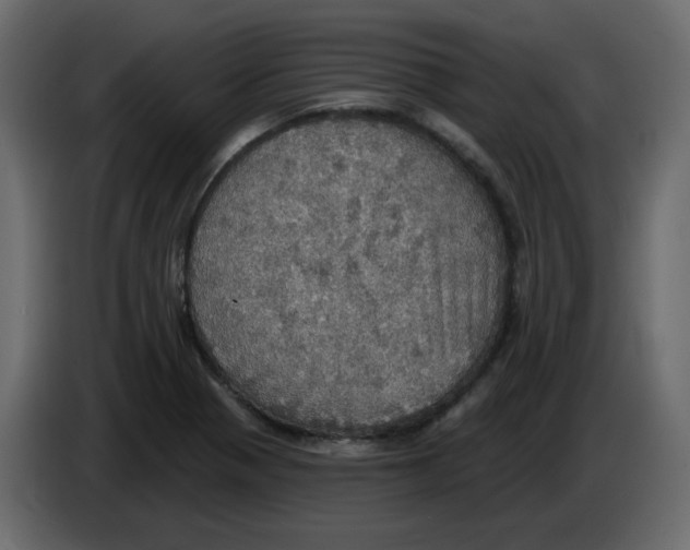 X0000084541321200703231706